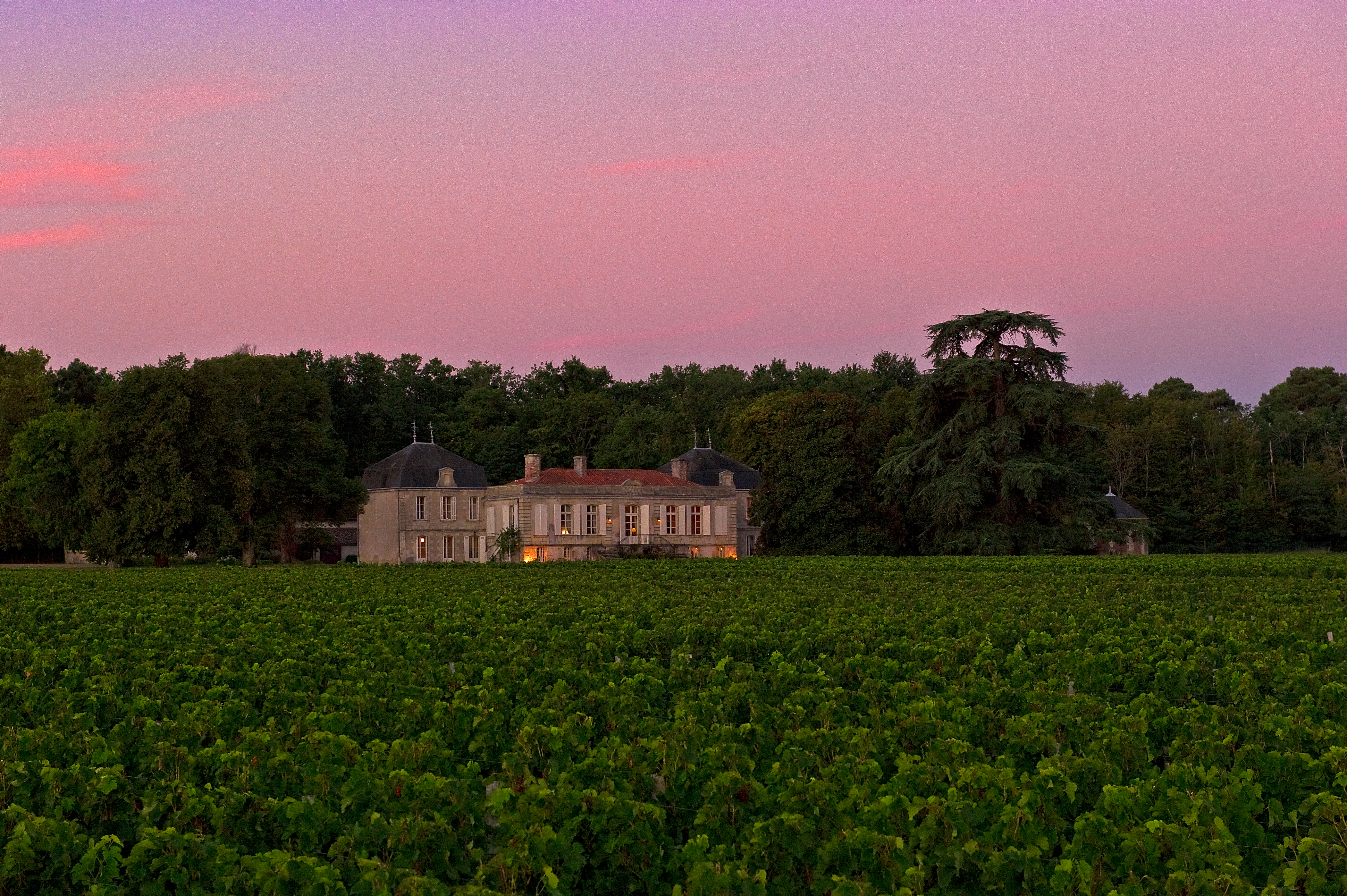 Château Picque-Caillou au coucher du soleil, entouré de vignes